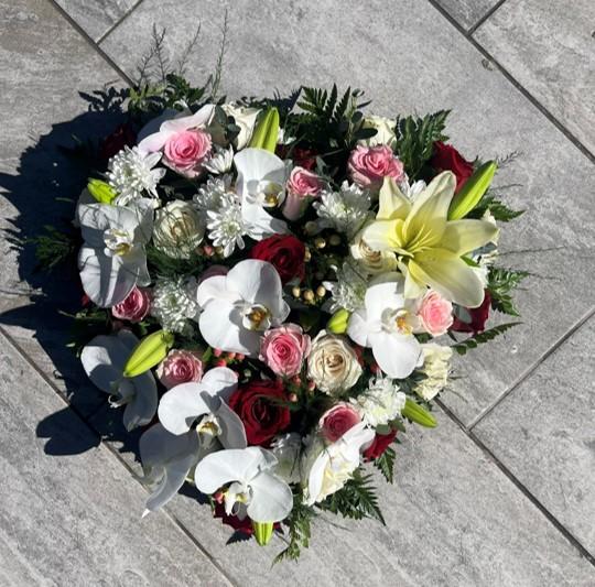 Image12